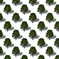 Seamless pattern of trees with shade isolated on a white background. Green maple.