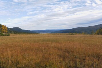 autumn landscape in the mountains