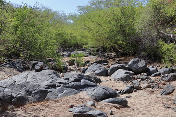 Naklejka na ściany i meble Dry stream bed with rocks and sand and vegetation on the edges