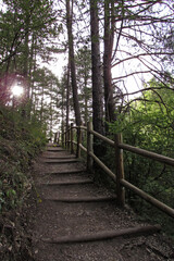 Wooden stairs in the middle of the forest, towards the source of Júcar river.   