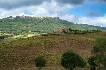 Fototapeta na wymiar Rural landscape in Tuscany near Torrita di Siena