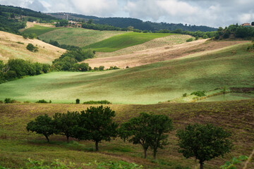 Rural landscape in Tuscany near Torrita di Siena