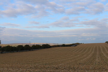 A large field with trees in the background