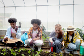 Group of happy Multiethnic teenager friend working in vegetable farm together, smiling young...
