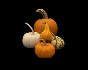 four pumpkins and a gourd on a black background