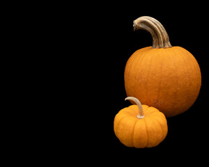 medium size and small size pumpkin on a black background