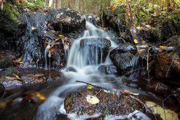 Fototapeta na wymiar Closeup of water stream through autumn forest
