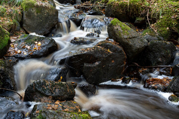 Closeup of water stream through autumn forest