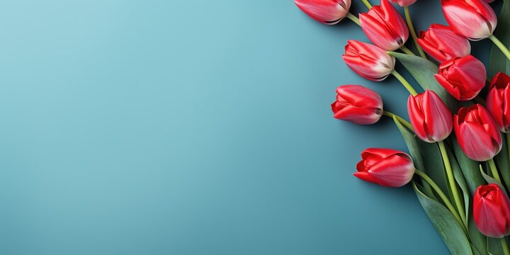 Holiday banner with red tulips. Spring flowers on blue background with copy space. Greeting card for Valentine's Day, Woman's Day and Mother's Day holidays. Flat lay, banner size - Powered by Adobe