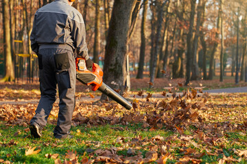 Anonymous male municipal worker cleaning up with portable leaf blower in city park. Back view of man wearing earmuffs blowing out dry leaves from green lawn outside. Concept of seasonal work service.