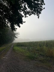 Obraz na płótnie Canvas Foggy countryside view, rural landscape, mist on the field