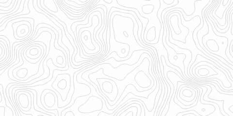 Background lines Topographic map. Geographic mountain relief. Abstract lines background. Contour maps. Vector illustration, Topo contour map on white background, Topographic contour lines.