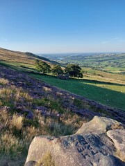 path to the land