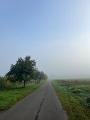 Foggy countryside view, rural landscape, mist on the field