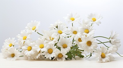 Daisy Dreamscape: A rustic arrangement of fresh white daisies with their delicate petals, interspersed with dried twigs, against a pure white background