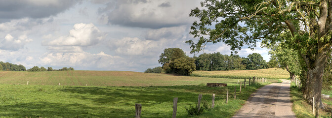 The narrow road meanders idyllically past old trees through gentle hills, meadows and fields.