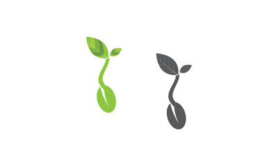 bean sprout leaf