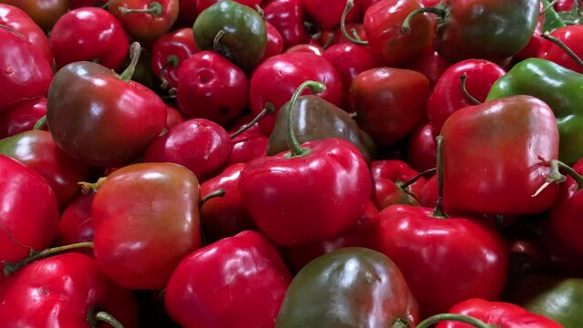 Video of a group of Rocotos or aji in a market in Peru. Food concept.


