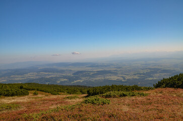 morning in the mountains