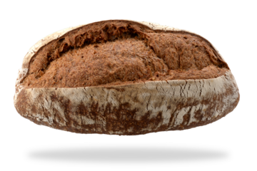 Loaf of whole wheat flour bread. Miccone typical bread from Piedmont, Italy, isolated