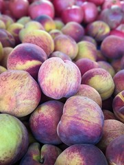 locally grown fresh peaches and nectarines on market stall