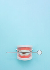 Dental Teeth Model dentures with dentist mouth mirror on blue background. Dental concept. False teeth, jaws. Dentistry conceptual photo.