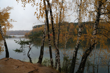 Obraz premium Beautiful autumn forest on a cloudy dark day