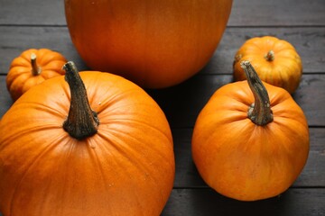 Thanksgiving day. Many ripe pumpkins on black wooden table, closeup
