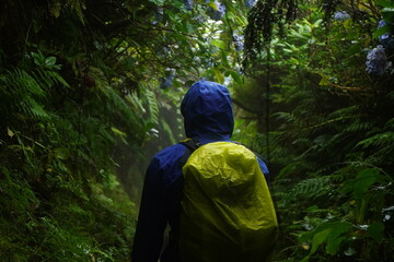 Hike in wood behind the rain