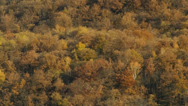 Tessiner Malcantone im Herbst 20