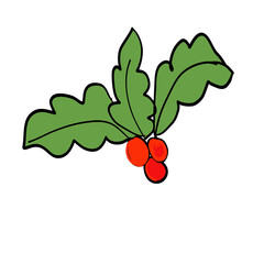 christmas holly berry