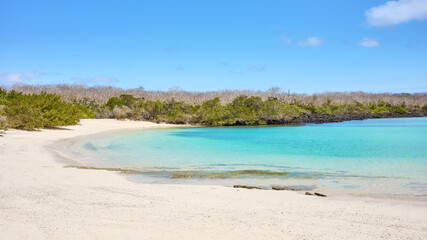 Empty beach on a beautiful uninhabited island, front focus,  Galapagos Islands, Ecuador.