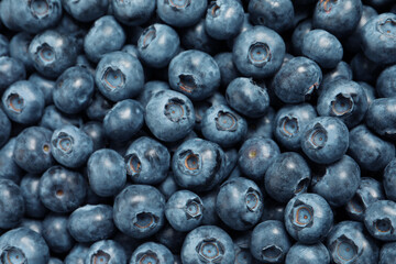 Tasty fresh blueberries as background, top view