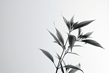A black and white plant background. Generative AI