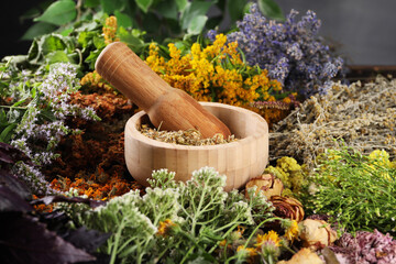 Mortar with pestle and many different herbs on table