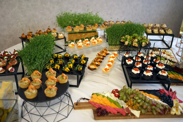 Festive buffet with meat dishes. Appetizer with sausage, smoked meats and vegetables.