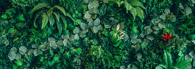 Group of background tropical green leaves texture. Natural green wallpaper and background. Green of Nature wallpaper.