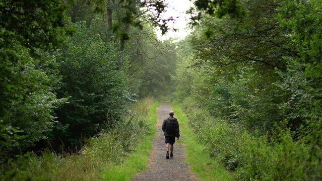 A man walking down a long straight path in woodland