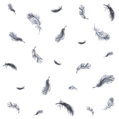 Raven Feathers Seamless Pattern | Crow Feathers düster Stoffdesign