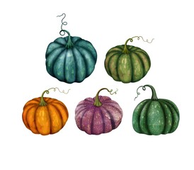 Colorful pumpkins watercolor illustration isolated on white Various autumn squashes Thanksgiving clipart Different gourd composition