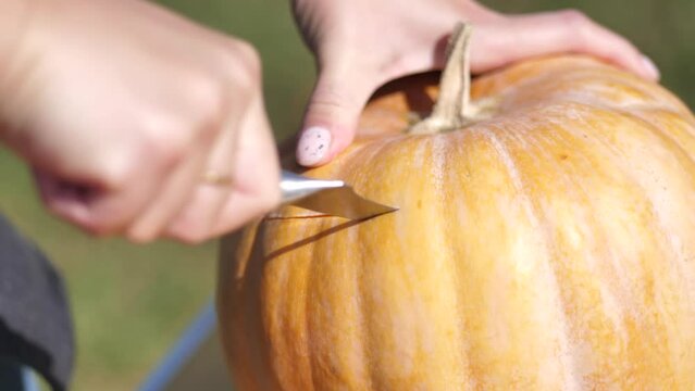 woman's hand cuts off the top of a pumpkin with a knife close-up. Preparing pumpkin for Halloween