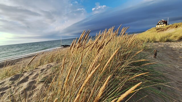 D&auml;nemark, Skagen, 