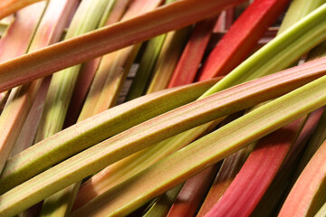 Fototapeta premium Many ripe rhubarb stalks as background, closeup