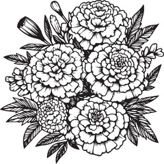 Birth flower marigold doodle marigold bouquet of flower design for card or print. hand-painted marogold flowers illustration isolated on white backgrounds, engraved ink art floral coloring pages