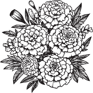 Birth flower marigold doodle marigold bouquet of flower design for card or print. hand-painted marogold flowers illustration isolated on white backgrounds, engraved ink art floral coloring pages