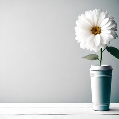 daisies in a vase with simple background 