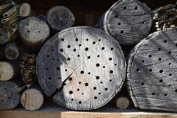 Natural bee house made of tree trunk wood and reed