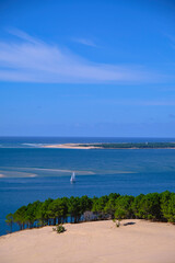 Pilat Sailboat Postcard