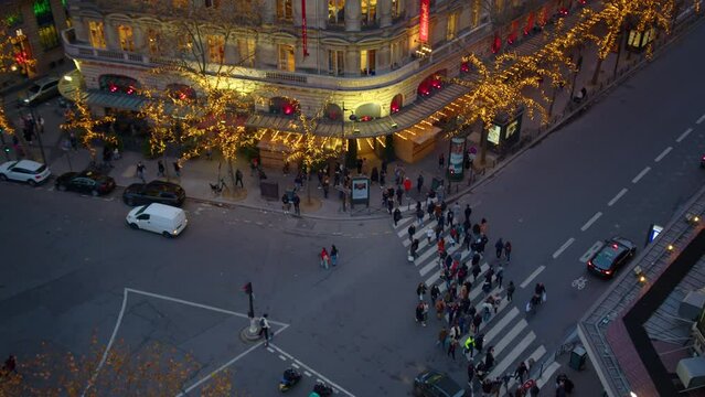 Christmas street decoration. Building, trees in garlands. Paris France