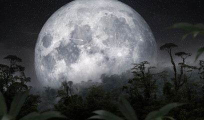 Full moon over the rain forest